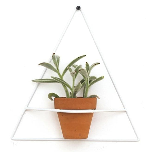 Wall Triangle White Planter - Planters_Wall