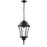 Wakefield Black Outdoor Chain Mount Ceiling Fixture - Outdoor Chain Mount Ceiling Fixtures