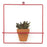 Wall Square Red Planter - Planters_Wall