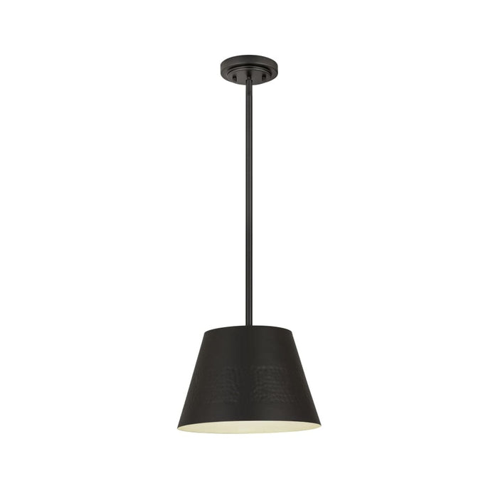 Z-Lite Maddox Matte Black 1 Light Chandelier 6013-12MB